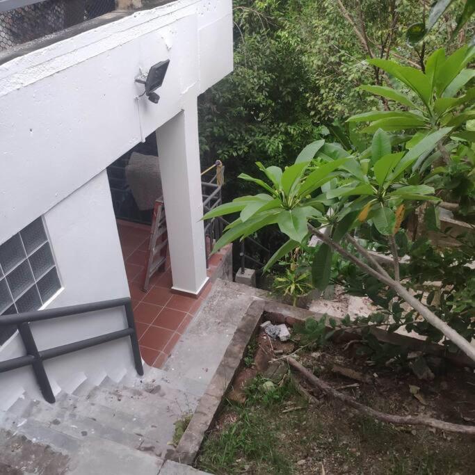 Kk Jungle Hideaway Lovely Apartment 5 Mins Walk To Town Kota Kinabalu Dış mekan fotoğraf